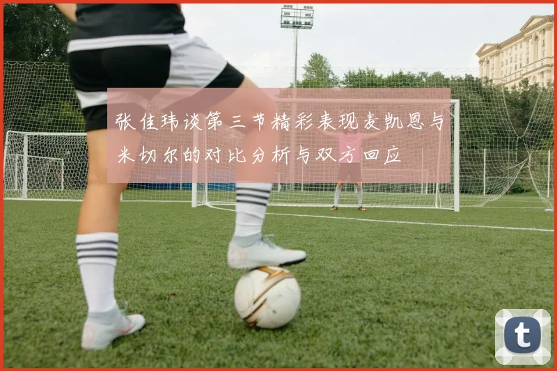 张佳玮谈第三节精彩表现麦凯恩与米切尔的对比分析与双方回应